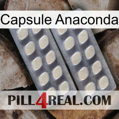 Anaconda Capsule 07